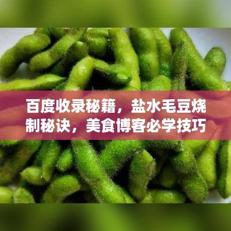 百度收錄秘籍，鹽水毛豆燒制秘訣，美食博客必學(xué)技巧！