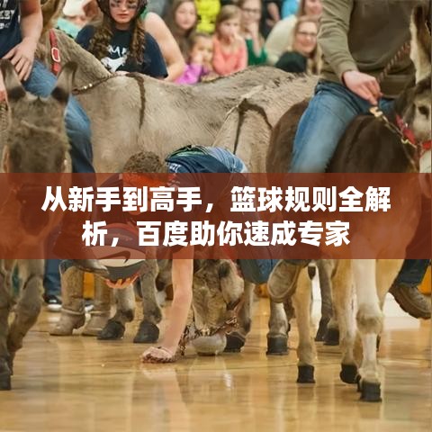 從新手到高手，籃球規(guī)則全解析，百度助你速成專家