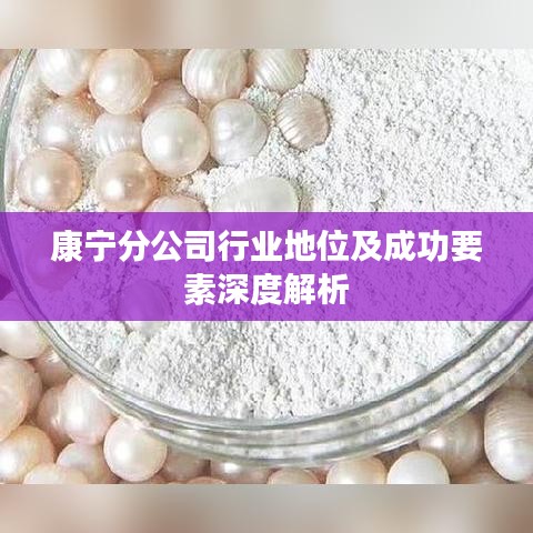 康寧分公司行業(yè)地位及成功要素深度解析