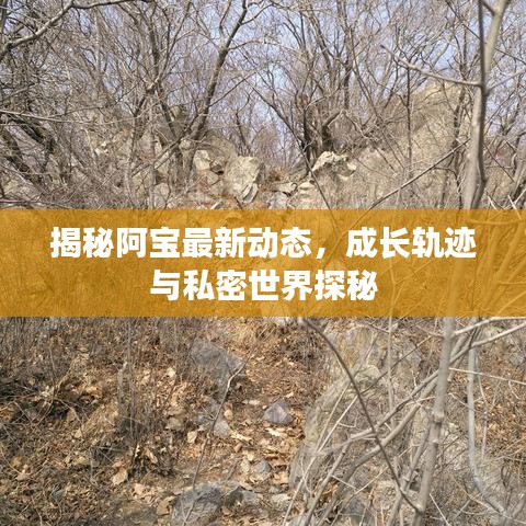 揭秘阿寶最新動態(tài)，成長軌跡與私密世界探秘