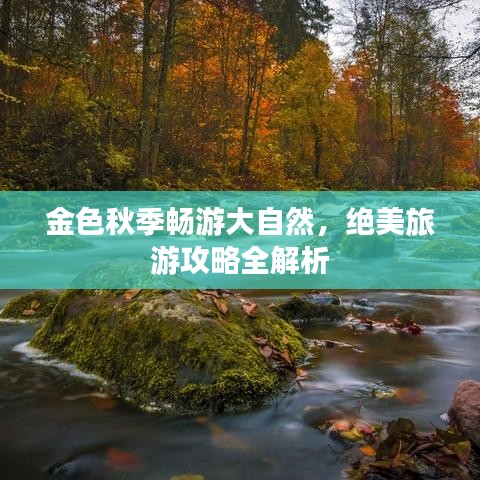 金色秋季暢游大自然，絕美旅游攻略全解析