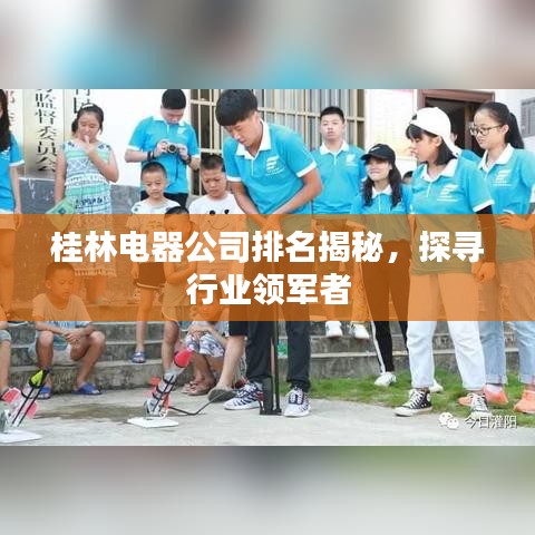 桂林電器公司排名揭秘，探尋行業(yè)領軍者