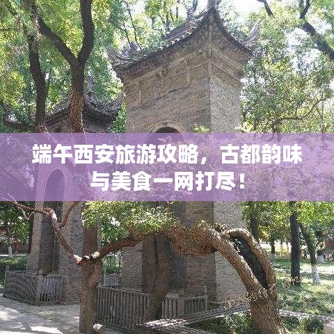 端午西安旅游攻略，古都韻味與美食一網(wǎng)打盡！