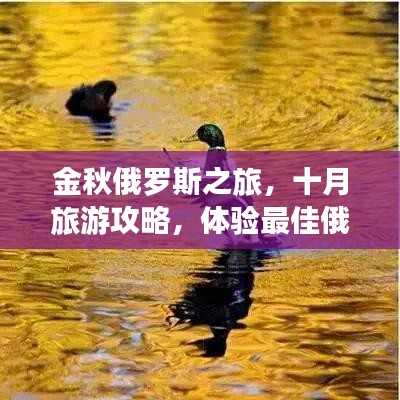 金秋俄羅斯之旅，十月旅游攻略，體驗最佳俄羅斯風(fēng)情
