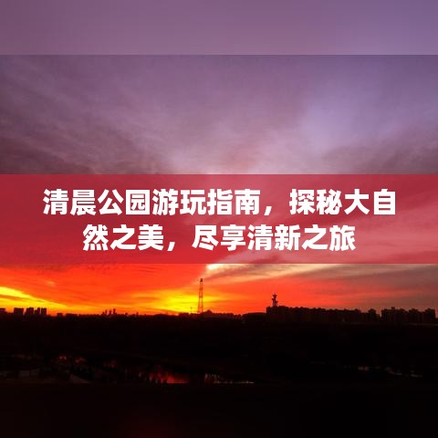 清晨公園游玩指南，探秘大自然之美，盡享清新之旅