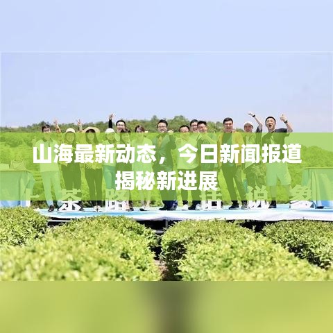 山海最新動態(tài)，今日新聞報道揭秘新進(jìn)展