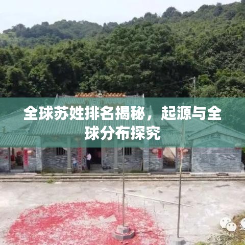 全球蘇姓排名揭秘，起源與全球分布探究