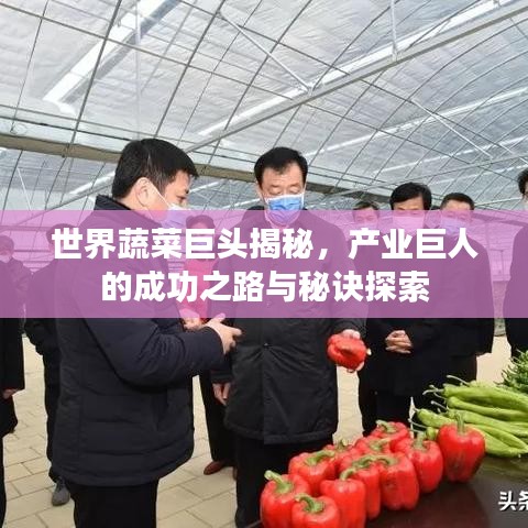 世界蔬菜巨頭揭秘，產(chǎn)業(yè)巨人的成功之路與秘訣探索