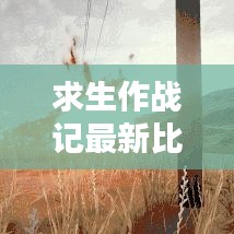 求生作戰(zhàn)記最新比賽攻略秘籍，決勝關(guān)鍵，掌握制勝法寶！