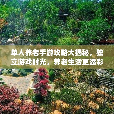 單人養(yǎng)老手游攻略大揭秘，獨立游戲時光，養(yǎng)老生活更添彩！