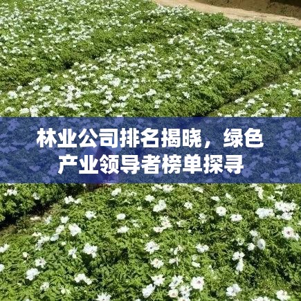 林業(yè)公司排名揭曉，綠色產(chǎn)業(yè)領(lǐng)導者榜單探尋