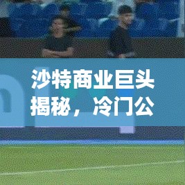 沙特商業(yè)巨頭揭秘，冷門公司排名與未知商業(yè)力量探索