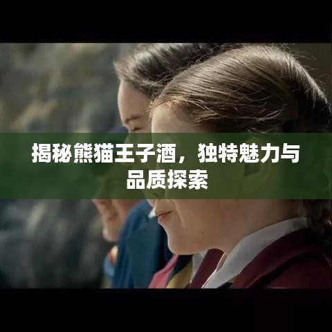 揭秘熊貓王子酒，獨(dú)特魅力與品質(zhì)探索