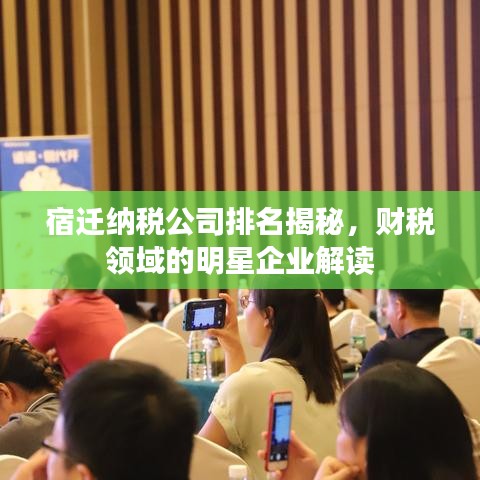 宿遷納稅公司排名揭秘，財(cái)稅領(lǐng)域的明星企業(yè)解讀