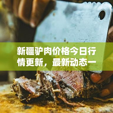 新疆驢肉價格今日行情更新，最新動態(tài)一網(wǎng)打盡