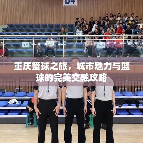 重慶籃球之旅，城市魅力與籃球的完美交融攻略