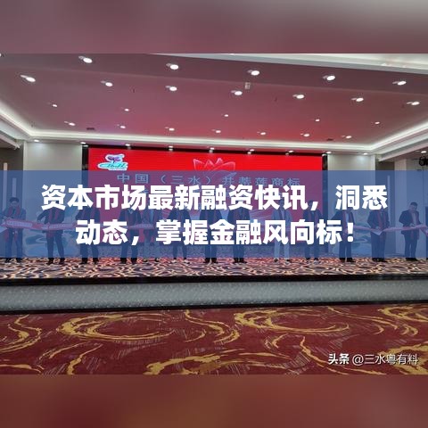資本市場最新融資快訊，洞悉動態(tài)，掌握金融風向標！