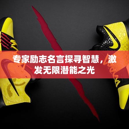 專家勵(lì)志名言探尋智慧，激發(fā)無限潛能之光