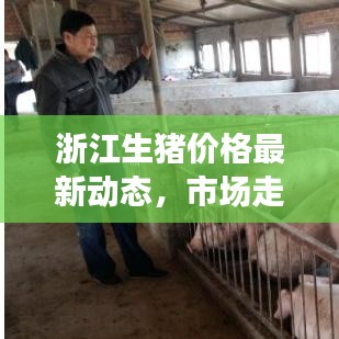 浙江生豬價(jià)格最新動(dòng)態(tài)，市場(chǎng)走勢(shì)、影響因素深度解析