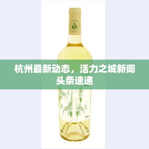 杭州最新動(dòng)態(tài)，活力之城新聞?lì)^條速遞