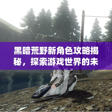 黑暗荒野新角色攻略揭秘，探索游戲世界的未知奧秘