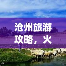 滄州旅游攻略，火車穿行城市，魅力之旅探索