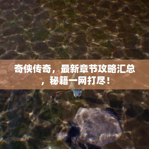 奇?zhèn)b傳奇，最新章節(jié)攻略匯總，秘籍一網(wǎng)打盡！
