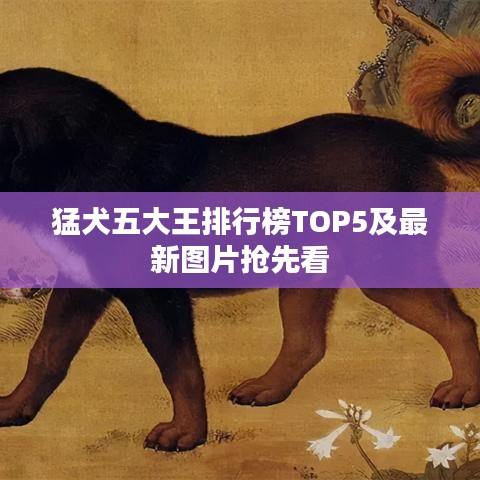 猛犬五大王排行榜TOP5及最新圖片搶先看