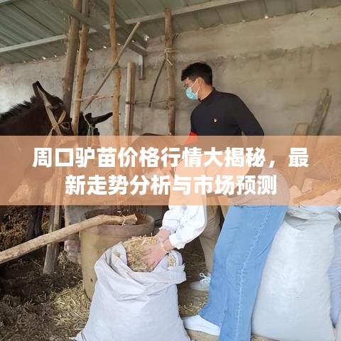 周口驢苗價(jià)格行情大揭秘，最新走勢(shì)分析與市場(chǎng)預(yù)測(cè)