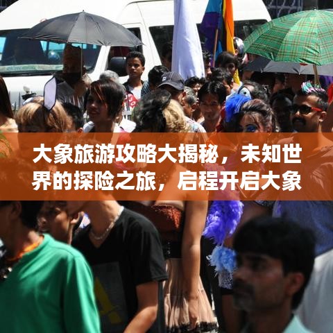 大象旅游攻略大揭秘，未知世界的探險之旅，啟程開啟大象之旅！