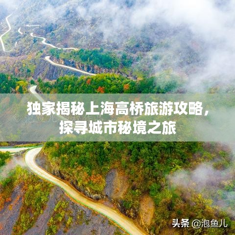 獨(dú)家揭秘上海高橋旅游攻略，探尋城市秘境之旅