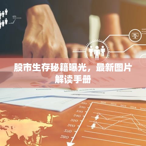 股市生存秘籍曝光，最新圖片解讀手冊(cè)