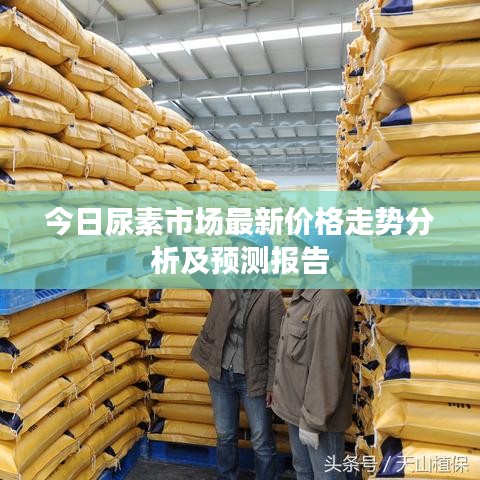 今日尿素市場最新價格走勢分析及預(yù)測報告