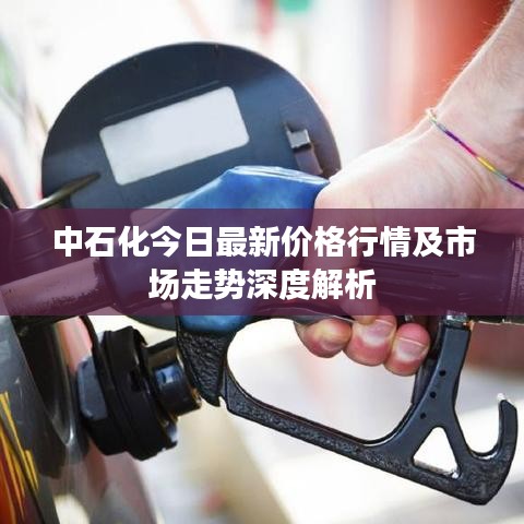 中石化今日最新價(jià)格行情及市場(chǎng)走勢(shì)深度解析