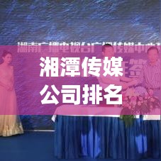 湘潭傳媒公司排名大揭秘，探尋行業(yè)領(lǐng)軍者的成功秘訣！