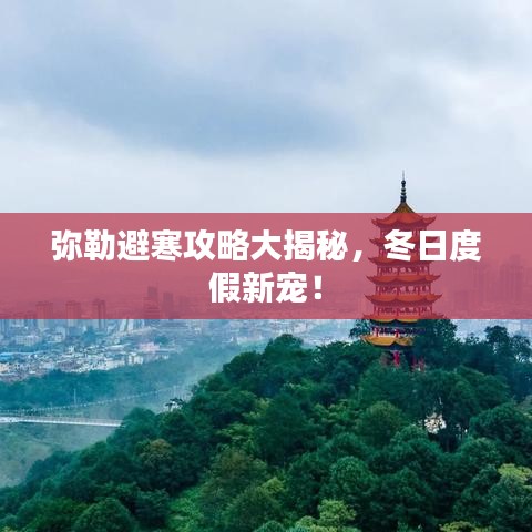 彌勒避寒攻略大揭秘，冬日度假新寵！