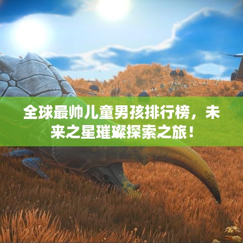 全球最帥兒童男孩排行榜，未來之星璀璨探索之旅！