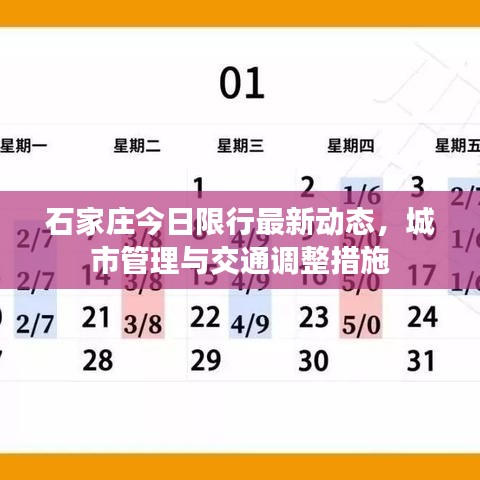 石家莊今日限行最新動(dòng)態(tài)，城市管理與交通調(diào)整措施