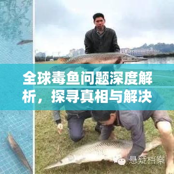 全球毒魚問題深度解析，探尋真相與解決之道