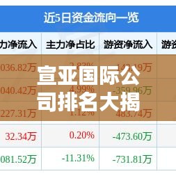 宣亞國(guó)際公司排名大揭秘，行業(yè)地位與影響力深度解析