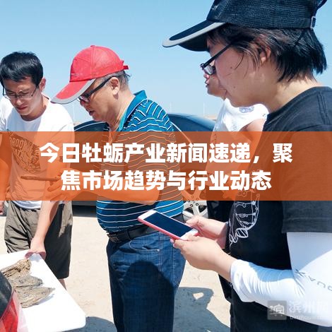 今日牡蠣產業(yè)新聞速遞，聚焦市場趨勢與行業(yè)動態(tài)