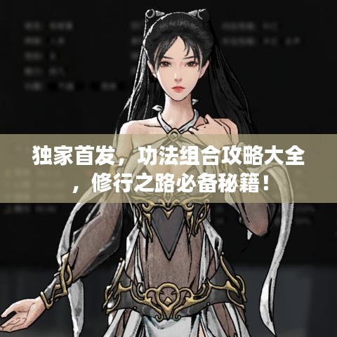 獨家首發(fā)，功法組合攻略大全，修行之路必備秘籍！