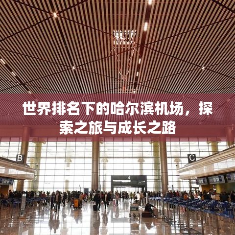 世界排名下的哈爾濱機(jī)場，探索之旅與成長之路