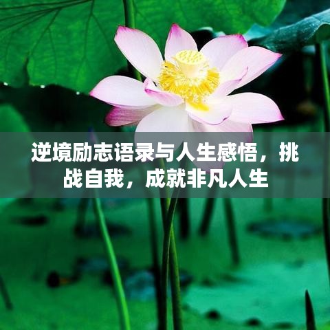 逆境勵(lì)志語(yǔ)錄與人生感悟，挑戰(zhàn)自我，成就非凡人生