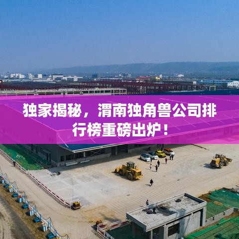 獨家揭秘，渭南獨角獸公司排行榜重磅出爐！