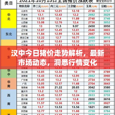 漢中今日豬價(jià)走勢(shì)解析，最新市場動(dòng)態(tài)，洞悉行情變化