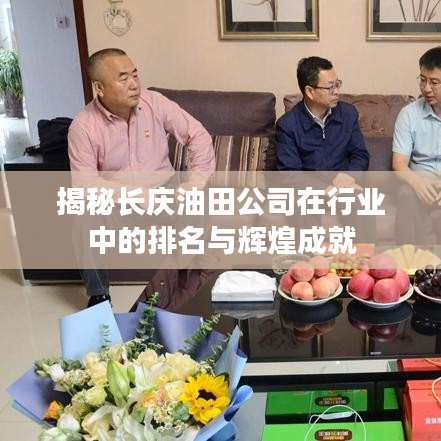 揭秘長慶油田公司在行業(yè)中的排名與輝煌成就