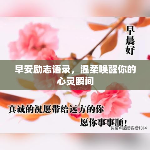 早安勵志語錄，溫柔喚醒你的心靈瞬間