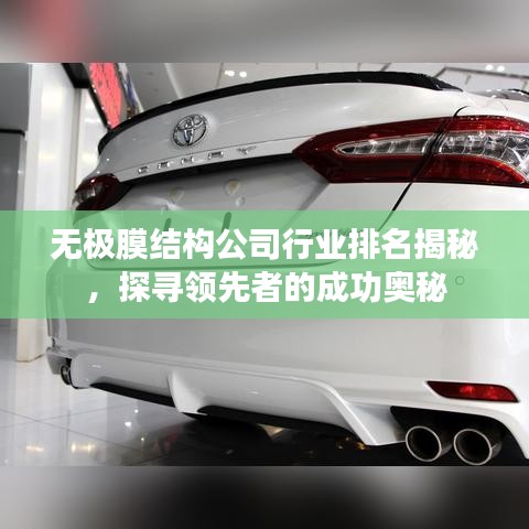 無極膜結(jié)構(gòu)公司行業(yè)排名揭秘，探尋領(lǐng)先者的成功奧秘