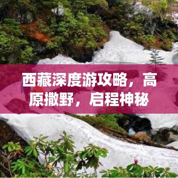 西藏深度游攻略，高原撒野，啟程神秘探索之旅